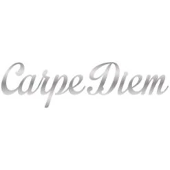 Dekoschriftzug Carpe Diem 70 Cm X 25 Cm