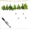 Eurographics Memoboard Hanging Herbs 30 Cm X 30 Cm