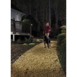 Mr. Beams LED-Außenstrahler Mit Bewegungsmelder MBN352 Braun 2er-Pack 10 Mr. Beams LED-Außenstrahler Mit Bewegungsmelder MBN352 Braun 2er-Pack -Heimdekoration Angebote 1810431 3437 mbn350 a2