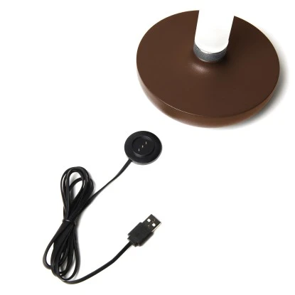 Konstsmide LED-Akku-Vase Biarritz Rostfarben ø 13,5 Cm X 20,5 Cm 2 Konstsmide LED-Akku-Vase Biarritz Rostfarben ø 13,5 Cm X 20,5 Cm – Bild 2