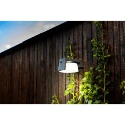 Lutec Solar-LED-Außenleuchte Moon 1-flammig Anthrazit 9,6 Cm X 16 Cm X 21,7 Cm -Heimdekoration Angebote 276834 3746 AB 03