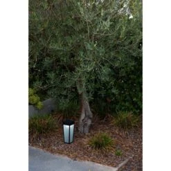 Lutec LED-Solar-Wegeleuchte Dias 1-flammig Mattschwarz 48,4 X 12,2 X 12,2 Cm -Heimdekoration Angebote 277195 3746 AB 03