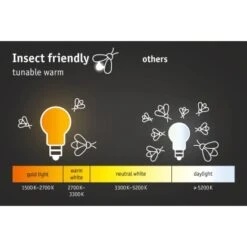 Paulmann LED-Outdoor-Deckenleuchte Circula 230 V ZigBee Mit Sensor Anthrazit -Heimdekoration Angebote 4000870945254 2425 AI 07