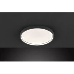 Wofi LED-Deckenleuchte Ø 45 Cm Dunkelgrau Dimmbar 5 Wofi LED-Deckenleuchte Ø 45 Cm Dunkelgrau Dimmbar -Heimdekoration Angebote 4003474398822 2858 1