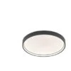 Wofi LED-Deckenleuchte Ø 45 Cm Dunkelgrau Dimmbar