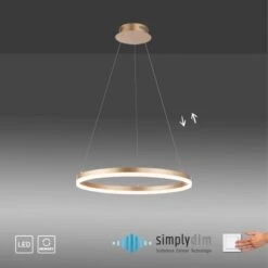 Paul Neuhaus Pendelleuchte Titus 1-flammig Messing Matt Ø 40 Cm -Heimdekoration Angebote 4012248362853 2426 AI 01