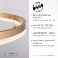 Paul Neuhaus Pendelleuchte Titus 1-flammig Messing Matt Ø 40 Cm -Heimdekoration Angebote 4012248362853 2426 AI 03