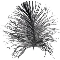 Komar Wandbild Feather White 50 X 70 Cm