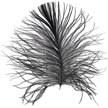 Komar Wandbild Feather White 50 X 70 Cm 1 Komar Wandbild Feather White 50 X 70 Cm