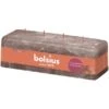 Bolsius Rustik-4-Docht-Kerze Shine 80/90/250 Mm Rustikales Taupe
