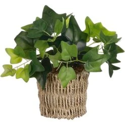 Efeu Im Korb Grün 33 X Ø 12 Cm