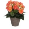 Kunstblume Begonia Lachs Topf-Ø 11,5 Cm H 30 Cm, Ø: 25 Cm