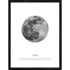 Pro Art Bild Framed Art Blue Moon 40 Cm X 30 Cm