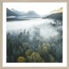 Pro Art Bild Framed Art Foggy Forest Atmosphere 50 Cm X 50 Cm