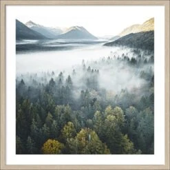 Pro Art Bild Framed Art Foggy Forest Atmosphere 50 Cm X 50 Cm