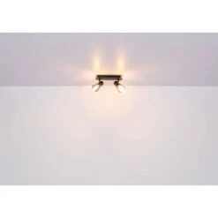 Globo Strahler Claude 1-flammig Dunkelbraun-Rauchfarben 70 X 140 Mm -Heimdekoration Angebote 9007371440207 3749 S 07