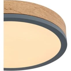 Globo LED-Deckenleuchte Doro 1-flammig Graphit 300 X 85 Mm -Heimdekoration Angebote 9007371442553 3749 CU 01