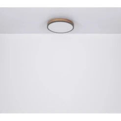Globo LED-Deckenleuchte Doro 1-flammig Graphit 300 X 85 Mm -Heimdekoration Angebote 9007371442553 3749 S 06