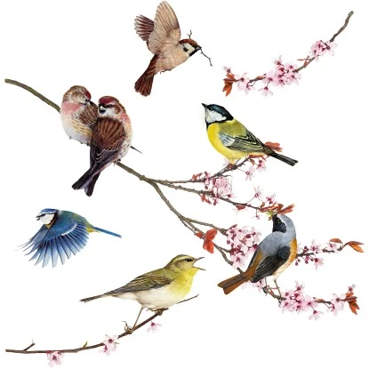 Komar Fenstersticker Birds 31 Cm X 31 Cm 1 Komar Fenstersticker Birds 31 Cm X 31 Cm
